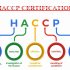 Everything You Need to Know About HACCP